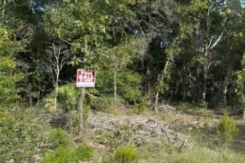 Terreno en venta en Bronson, Florida № 2213075 - foto 2