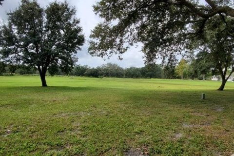 Terreno en venta en River Ranch, Florida № 1841802 - foto 6