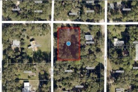 Land in Paisley, Florida № 1717191 - photo 8