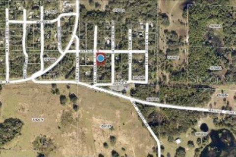 Land in Paisley, Florida № 1717191 - photo 6