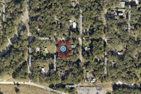 Land in Paisley, Florida № 1717191 - photo 2