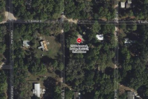 Land in Paisley, Florida № 1717191 - photo 11