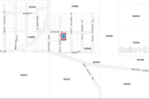 Land in Paisley, Florida № 1717191 - photo 9