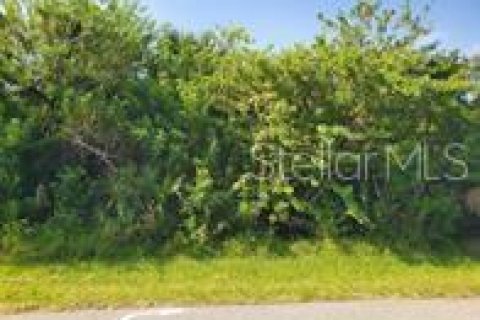 Land in Port Charlotte, Florida № 2213364