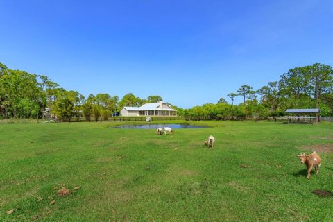 Villa ou maison à vendre à Malabar, Floride: 4 chambres, 303.7 m2 № 1635173 - photo 11
