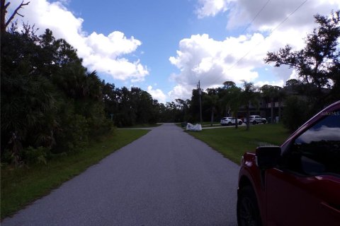 Land in Port Charlotte, Florida № 2164152 - photo 9