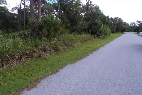 Land in Port Charlotte, Florida № 2164152 - photo 7