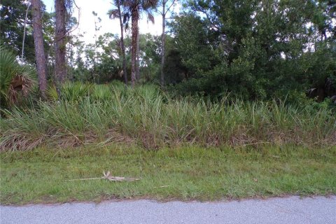 Land in Port Charlotte, Florida № 2164152 - photo 3