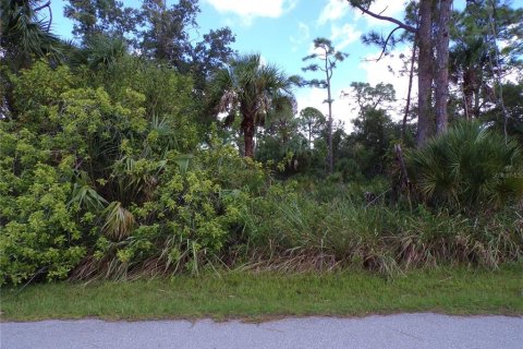 Land in Port Charlotte, Florida № 2164152 - photo 5