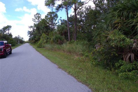 Land in Port Charlotte, Florida № 2164152 - photo 2