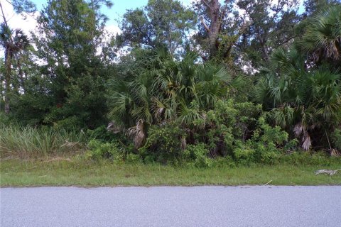 Land in Port Charlotte, Florida № 2164152