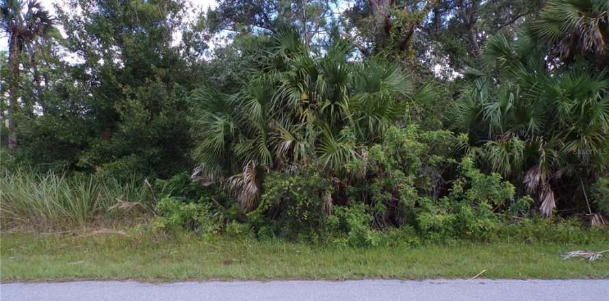 Land in Port Charlotte, Florida № 2164152