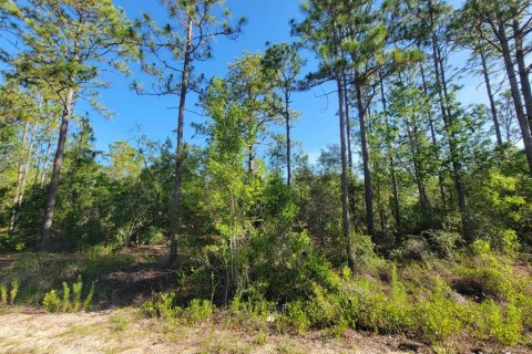Land in Dunnellon, Florida № 2162662 - photo 4