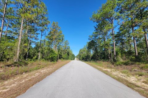 Land in Dunnellon, Florida № 2162662 - photo 10