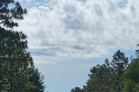 Land in Dunnellon, Florida № 2162662 - photo 13