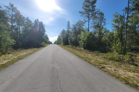 Land in Dunnellon, Florida № 2162662 - photo 8