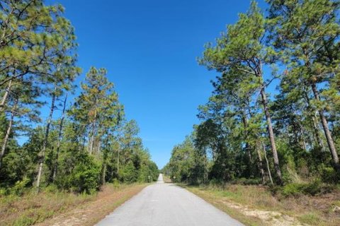 Land in Dunnellon, Florida № 2162662 - photo 12