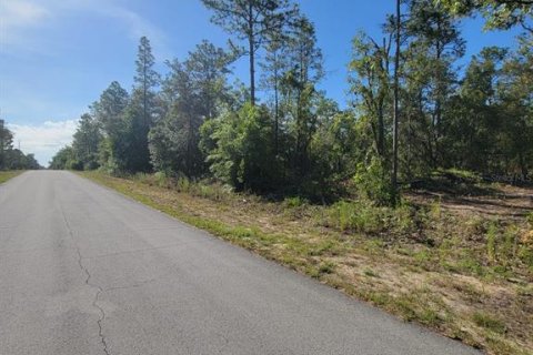 Land in Dunnellon, Florida № 2162662 - photo 7