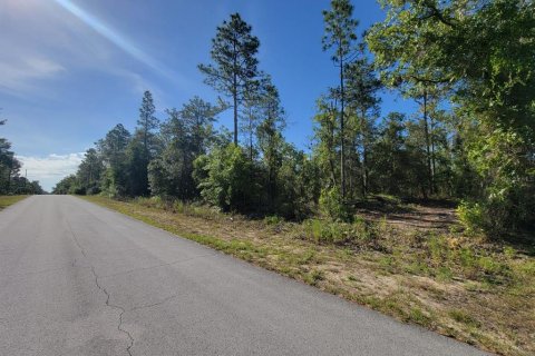 Land in Dunnellon, Florida № 2162662 - photo 9