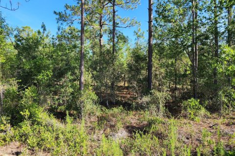 Land in Dunnellon, Florida № 2162662