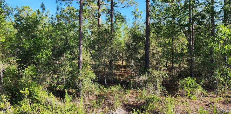Land in Dunnellon, Florida № 2162662