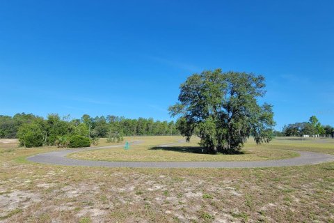 Land in Dunnellon, Florida № 2162662 - photo 23