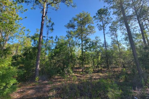 Land in Dunnellon, Florida № 2162662 - photo 2