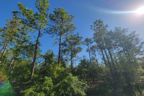 Land in Dunnellon, Florida № 2162662 - photo 5