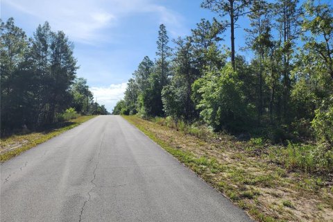 Land in Dunnellon, Florida № 2162662 - photo 6