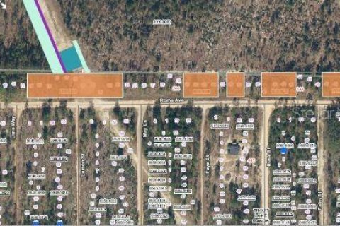 Land in Interlachen, Florida № 1592549 - photo 2