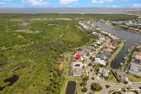House in Apollo Beach, Florida 3 bedrooms, 243.5 sq.m. № 1854708 - photo 8