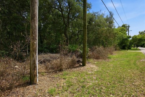 Land in DeLand, Florida № 2103383 - photo 6