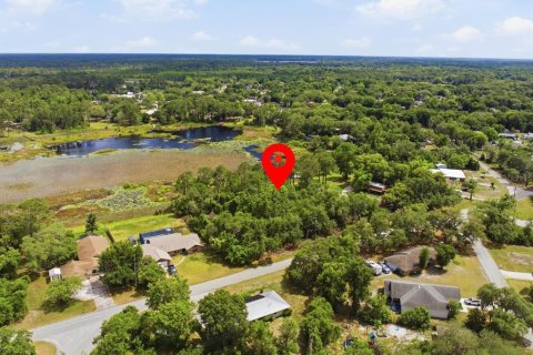 Land in DeLand, Florida № 2103383 - photo 2