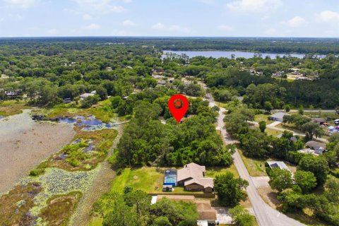 Land in DeLand, Florida № 2103383 - photo 3