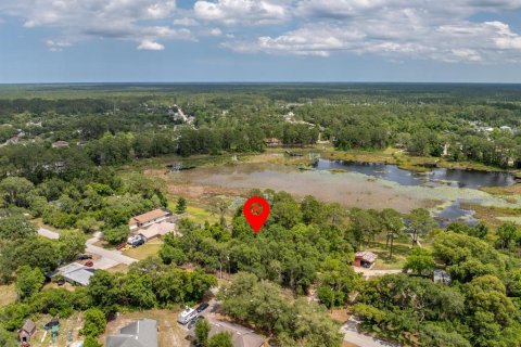 Land in DeLand, Florida № 2103383 - photo 4