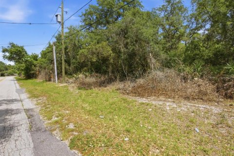 Land in DeLand, Florida № 2103383 - photo 5