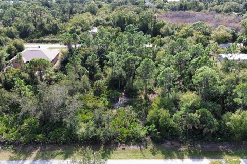 Terrain à vendre à Punta Gorda, Floride № 2202971 - photo 4