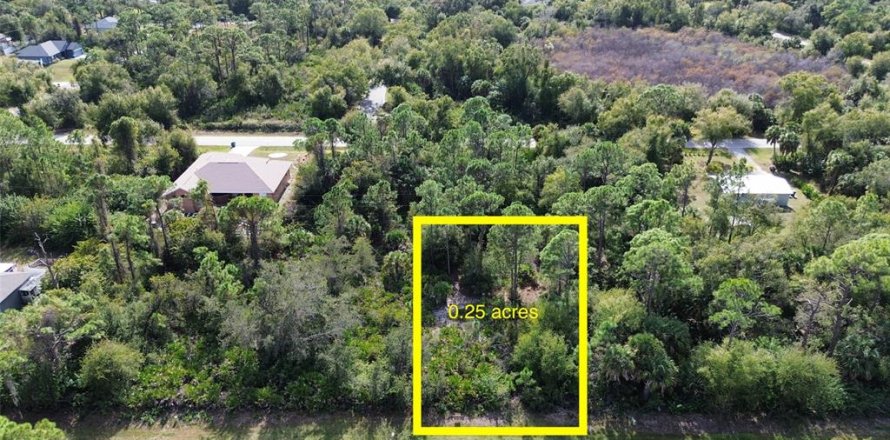Terrain à Punta Gorda, Floride № 2202971