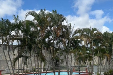 Condo in Hollywood, Florida, 1 bedroom  № 1998775 - photo 2