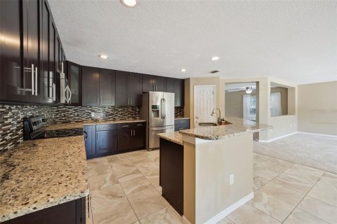 House in Mount Dora, Florida 4 bedrooms, 244.98 sq.m. № 2199772 - photo 16