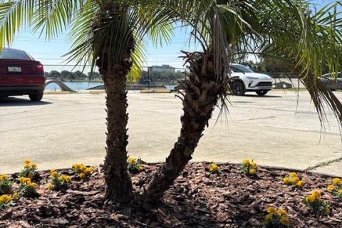 Propiedad comercial en venta en Winter Haven, Florida, 12 dormitorios, 488.29 m2 № 1824975 - foto 14