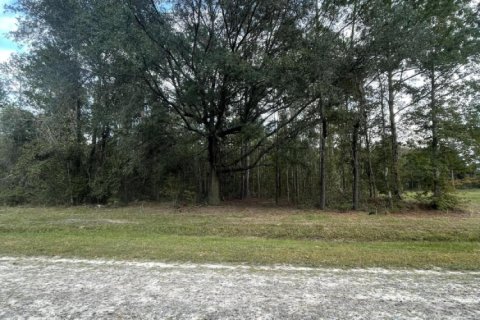 Terreno en venta en Callahan, Florida № 807010 - foto 1