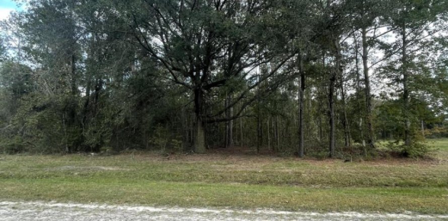 Terreno en Callahan, Florida № 807010