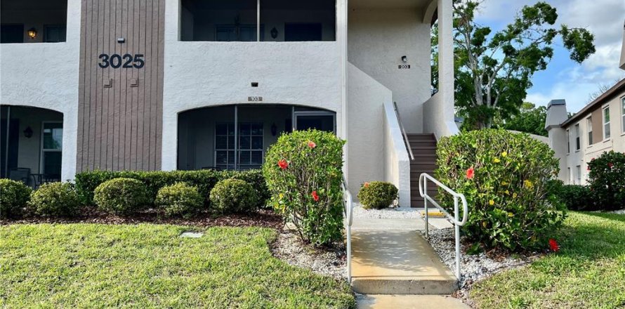 Condominio en Palm Harbor, Florida, 1 dormitorio  № 1620376