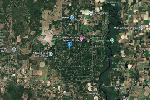 Land in Old Town, Florida № 2402766 - photo 3