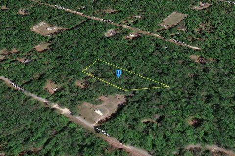 Land in Old Town, Florida № 2402766 - photo 2