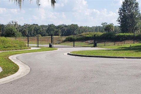 Land in Fish Hawk, Florida № 2100406 - photo 3