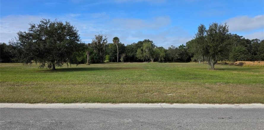Land in Fish Hawk, Florida № 2100406