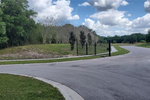 Land in Fish Hawk, Florida № 2100406 - photo 4