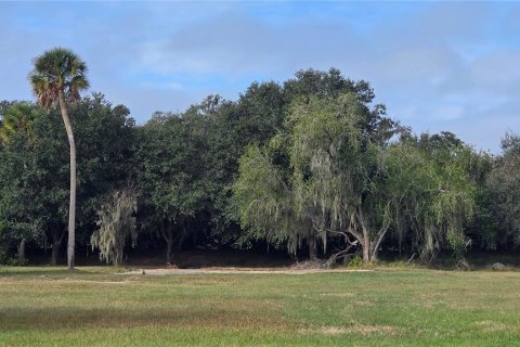 Land in Fish Hawk, Florida № 2100406 - photo 2